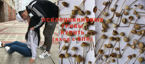 ешки Алзамай