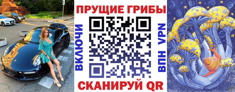 маркетплейс состав Заозёрный Псилоцибиновые грибы Psilocybe цены наркотик